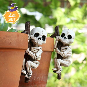 XJu W 2_Zbg  [ nEB  鐓 KCRc A K[fI[ig ~j`AtBMA XJI[ig  nEBp[eB[ 