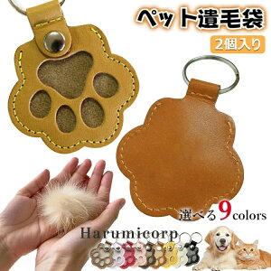 y6%OFFN[|zzIzybgL[z_[  P[X 2 ybg ѓ ybg AObY  ybg d L[z_[  i{ ObY  L  