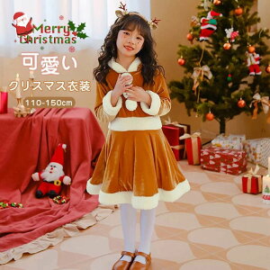 NX}X RX`[   J`[V ߑ RXv qp T^ giJC RXv ߑ  s`  hS q ̎q LbY p[eB[ qp v[g 