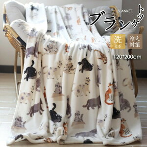 �u�����P�b�g �L�� �G�|�� �Ђ��|�� 120*200 �~�p �ѕz �y�� �g���� �t�����l�� ���킢�� �A�j�}���� �k�� ������� �\�t�@ �I�t�B�X ���Q �|���ѕz �Q�� �h�� �H�~ ���������� ��[�΍� �N���X