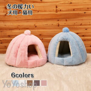 h[^ Lpxbh ybgnEX p ybgxbh ̑ _炩 ʔNp ۉ Q 􂦂 NbVt h ~ 킢