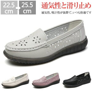 fB[X JV JV V[Y fB[X Xb|  ₷ {v hCrOV[Y Xb| h Xj[J[ [t@[ fbLV[Y L  Ȃ ʋC