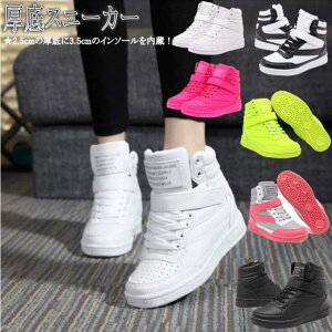 Xj[J[ fB[X nCJbg Cq[ }WbNe[v h ~ V[NbgV[Y 傫TCY S6clolrs