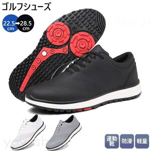 StV[Y S Y fB[ ʋCQXj[J[ y 4E L XpCNX tBbg₷ ȂC ϋvh K 