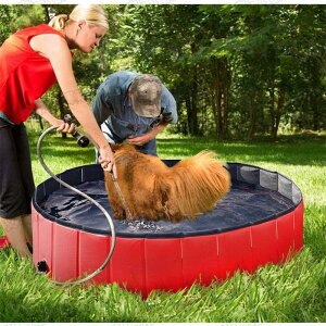 v[ Csv ܂肽 x_  ċx V  {[ W[ AEghA Ȉ ybg  L