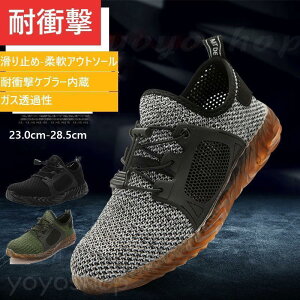 SC ƌC Ȃ Y fB[X  ZteB[V[Y SXj[J[ c ܐK[h  y ʋC 