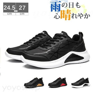 Xj[J[ Y h J  y Jp jp hV[Y  ʋ ʊw EH[LOV[Y JWAV[Y ^C WMO 