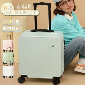 X[cP[X @ 킢 y ^ S MTCY 23  40l inslC L[P[X L[obO s