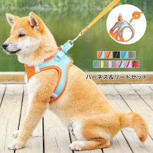  n[lX ^ ^ [hZbg   ˃e[vt ȒP xg߉ ʋC ɂ EȂ U o JoLx 