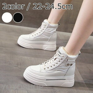 zCg ubN [gu[c fB[X Xm[u[c ~hu[c V[gu[c  Xj[J[ Cq[ [gV[Y [XAbv ҂ݏグ N g ₷ 