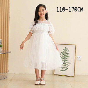 q hX s[X  ̎q LbY q t  sAm \ JWA tH[} G i` qǂ 킢 WjA K[Y  s T}[ ܎O  