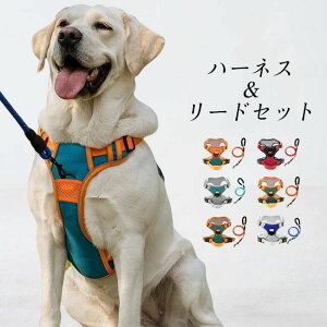 p n[lX ^ ^   [hZbg Zbg ^ ^ ^   ˃e[vt ȒP xg߉ ʋC ɂ EȂ U o JoLx 