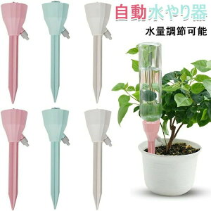  _J[ 9Zbg 12Zbg  蓖  A 蓖  UVXe @ ʒ߉\ ϗtAp 