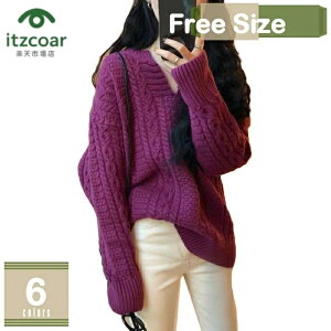 |GXe Z[^[ fB[X  H ~ XN[Z[^[ vlbN jbg St fB[X rWlX ʋΒʊw w XN[jbg fB[X ꂢ Vv l n  