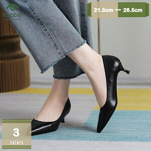 fB[X [q[ sq[ ꂢ X[X 4cm pvX b r ₷ C 傫 K ɂȂ |CebhgD d ItBX EFfBOV[Y a N