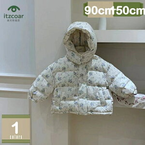 q R[g LbY ȃWPbg AE^[ t[ht q j̎q ̎q n R[g {[CY K[Y   gbvX h WjA AE^[ WjA H ~ ʉ