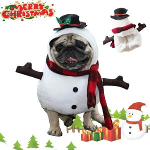 pNX}Xv[g 킢 U o t@bV IV  ₷ Be ϐg L L ybg