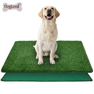 ybgp gCg[jO ړI lH gCg[i[  gCK pgC }bg  ybgV[g }bg ybggCV[g pgCg[ lHŃ}bg 