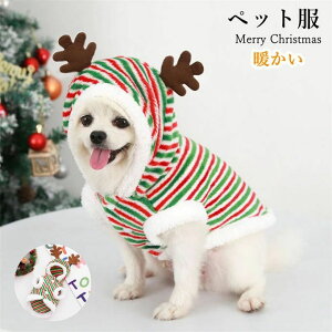 ybg  NX}X T^ giJCybgp RXv   hbOEFA LbgEFA L L ybg ߑ RX`[ ̕ L̕ 킢  ʔ 