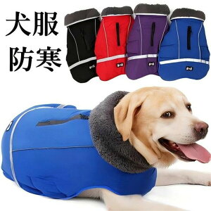  hbOEFA ȕ WPbg ~ U  ȃxXg ȓ {At іh~ ^ ^ ^ hxXg ybgpi   H~ V 