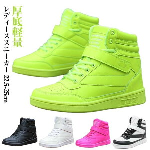 V[Nbgu[c fB[X r  ^C b  Xj[J[ V[Y _XV[Y Cq[Xj[J[ y L y nCq[ Ȃ gAbv  C