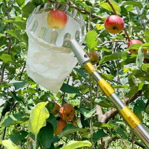 t[csbJ[ 2.5-6M ʎsbJ[ XeX |pi |H ʕE n ʕ } ʕ ʎ Lk  ֗ p 蓮 