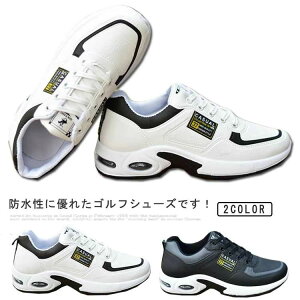 StV[Y Y h Xj[J[ XpCNXV[Y  y Stp V[Y jOV[Y EH[LOV[Y h ɂ ₷ 傫TCY