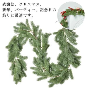 NX}X K[h ACr[ G ̐j qmL lH ΐA Diy ԗ ̗t[ NX}X ̑ NX}Xc[ K[f  fR[V  