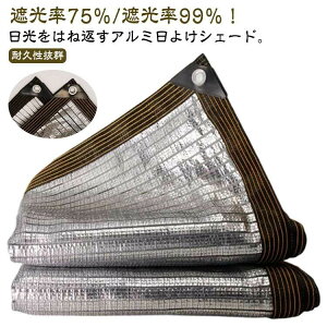 悯VF[h VF[h v ډB TVF[h O΍ Ռlbg x_ MǑ΍ UVJbg  A~ 悯XN[ O 悯 O I[jO g ȃGl