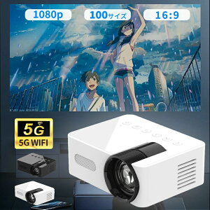 vWFN^[ ^ ƒp  掿 `␳ 5G wi-fi 6 Ή V z[VA^[ q Android iPhone PC Ze R