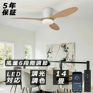 y2025VzV[Ot@Cg led V[Ot@ t@tƖ V[OCg  10 14 F t]@