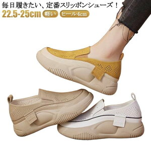 ʋC Xb|  fB[X  Xj[J[ q[4cm O Xb| Xj[J[ RtH[gV[Y C y y gA [q[ 