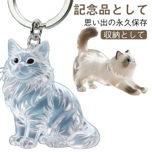 2Zbg L̖ю[{g L[z_[ Lыʓ L JvZ ybg ѓ Lю[{bNX  P[X   тۊǂ{g lR