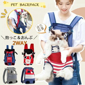 2Wayybgp R L[obO bN^ ybgpЂ ybgXO R ԂЂ ^L ^L LobO  ω׏d10kg y {[_[