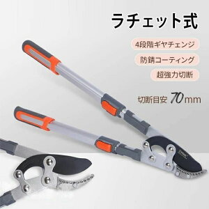 } ΂ `Fbg 70mm ֐n }͂ } }؂oT~ }؂͂