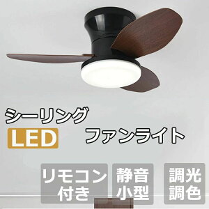 V[Ot@ V[Ot@Cg V[OCg XCO@\ 8-12 Rt ^C}[@\ 啗 @