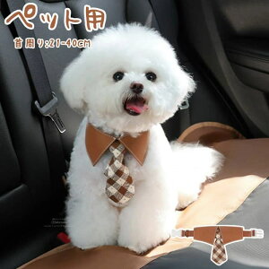  Lp lN^C ANZT[ 悾ꂩ OpXJ[t lN^C  L tH[} hbO^LV[h   o_i  XJ[t a  p[eB[ nEB N