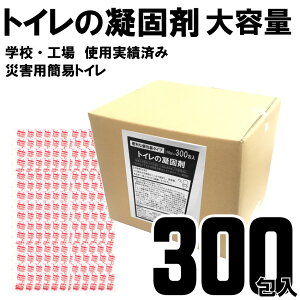 gC̋Ìō 300 {  ivۑ10N ЊQp ȈՃgC pgC gуgC ЊQpgC hЃObY LÌō f΍@Lv eg s  j q 