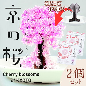 ̍i2j 炭 Đ t CeA IuWF 킢 LC Y s