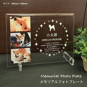  KX A tHgX^h ʐ^ a LO Mtg AX^h Av[g Y   L  ybgObY ybg   Ob