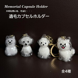 ybg A L[z_[  ^  i `  P[X  { vo ѓ L[O v[g 茳{ ObY I[_[ AObY  ̖ ʂ