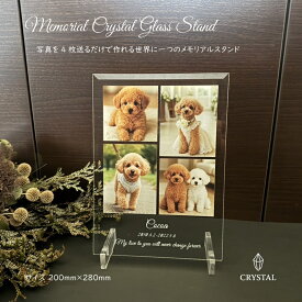 ペット 犬 猫 うちの子 写真 メモリアル プレート アート 名入れ ギフト 記念日 プレゼント おしゃれ 可愛い 思い出 オーダー 鳥 うさぎ グッズ インテリア 法要 名前入れ 記念撮影 家族 ドッグ キャット ペットロス 供養 記念品