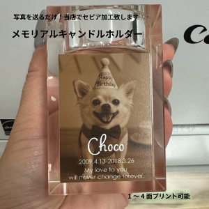 高級ガラス キャンドルスタンド キャンドル キャンドルホルダー ろうそく 名入れ メモリアルスタンド メモリアルプレート 位牌 蝋燭 おしゃれ 犬 猫 うさぎ 命日 お悔み ペットグッズ ペッ