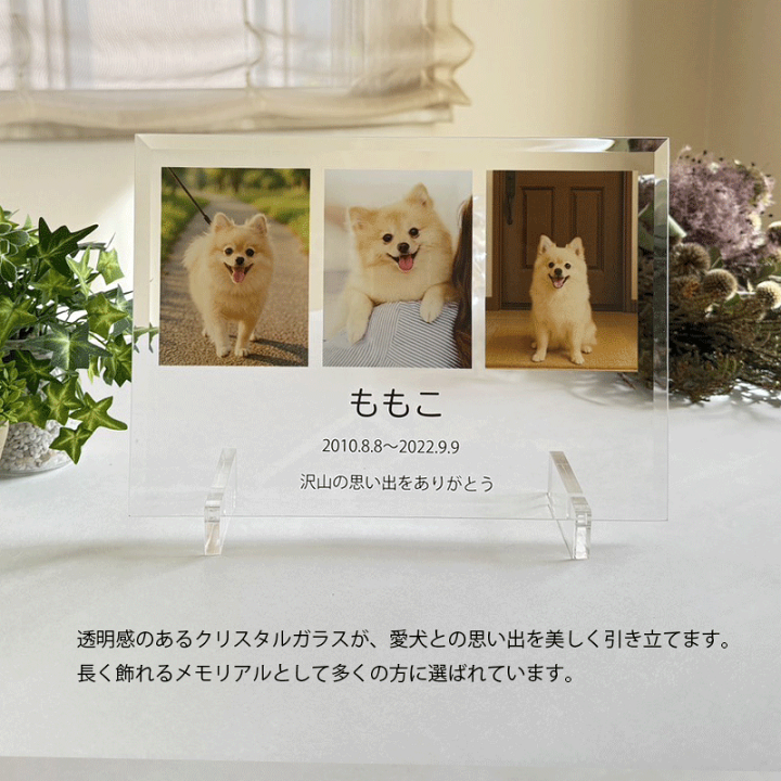 楽天市場】ペット 犬 猫 うちの子 写真 メモリアル プレート アート 名