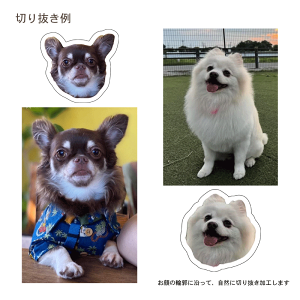 X}zz_[ X}zObv }OZ[tΉ MagSafe ʐ^ X}zX^h AN  L ybg ̎q   ObY Mtg v[g   iPhone Android z