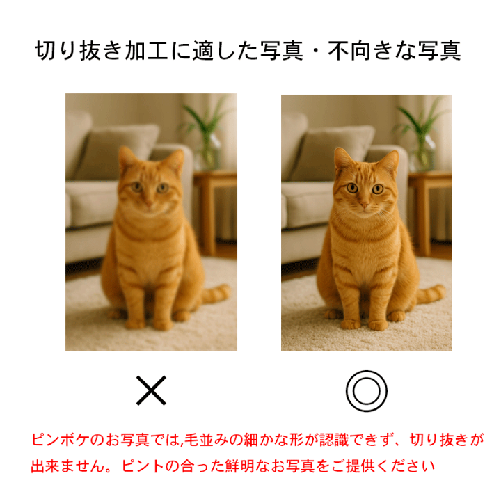 楽天市場】ペット 犬 猫 うちの子 写真 メモリアル プレート アート 名