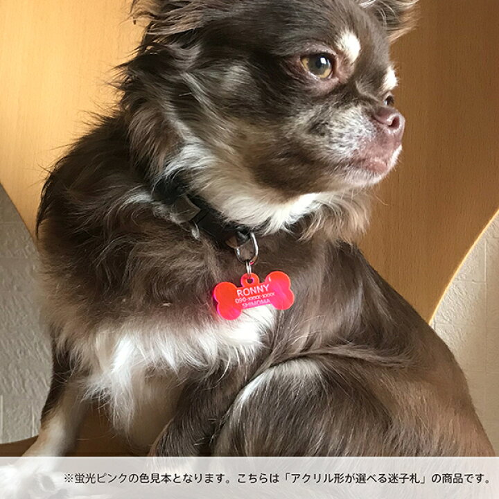 楽天市場】超軽量 ワンちゃん用迷子札 国産アクリル仕様 各サイズあり 