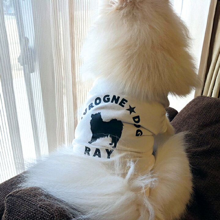 名入れ プレゼント Dog Wear Pet35 いぬ おしゃれ かっこいい かわいい そのままわんこ オシャレ ギフト ドッグ ドッグウエア ペット ペットグッズ ペット用品 中型犬 可愛い 小型犬 敬老の日 犬 犬用品 年末のプロモーション大特価 ギフト