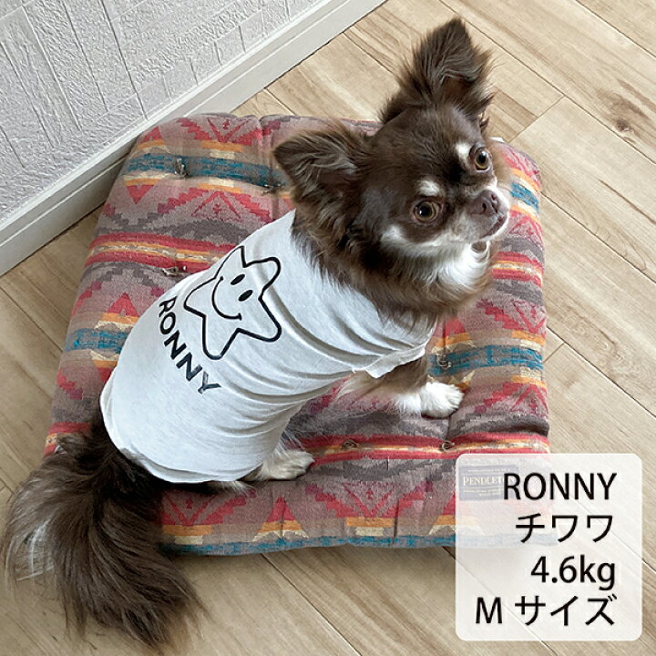 楽天市場 名入れ 洋服 ダックスサイズもあり 犬服 ワンコ服 お散歩 ドッグラン カフェ お出かけ 犬 猫 犬用品 猫用品 犬グッズ 猫グッズ 猫服 ドライブ 夏服 春服 ランニング 小型犬 大型犬 中型犬 室内犬 お名前 名入れ おしゃれ かっこいい 可愛い ペット用品 ペット