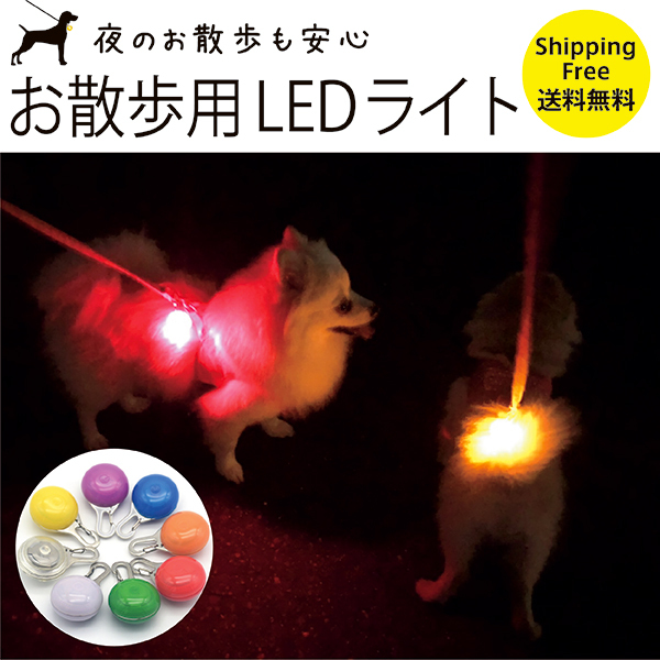 卸売 ペット LED セーフティ ライト ブルー 散歩 犬 首輪 安全 リード 子ども